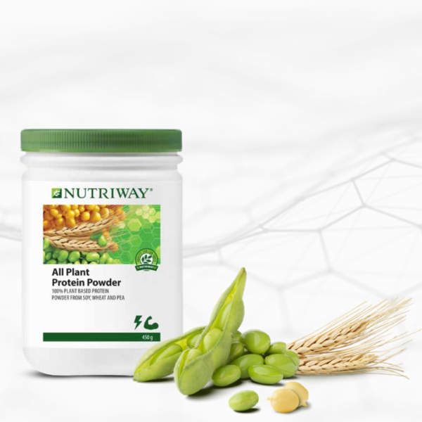 NUTRIWAY™ All Plant Protein Powder - 450g - Image 2